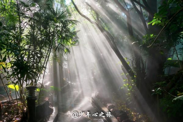 喝酸奶可以减肥吗？游戏画面