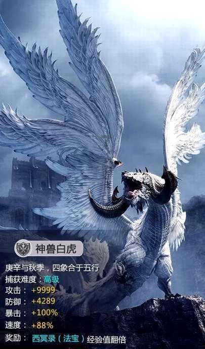 每36分钟5.3盖帽、进攻能力为0的外援,在四川队的表现如何?
