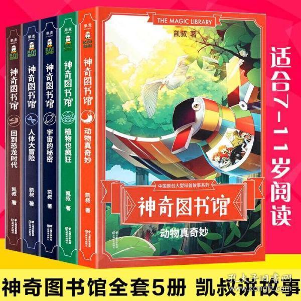 拯救胖男孩