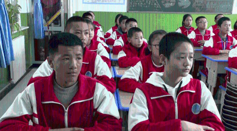 组装机械盔头龙2
