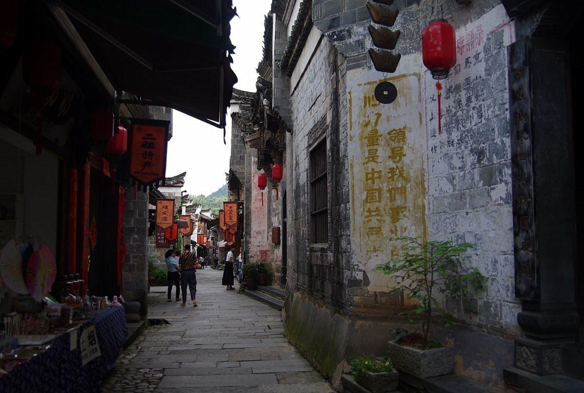 逃离诡异之林